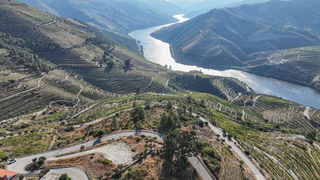 Terreno en Valença do Douro, Distrito de Viseu, Portugal 4 - 14583042