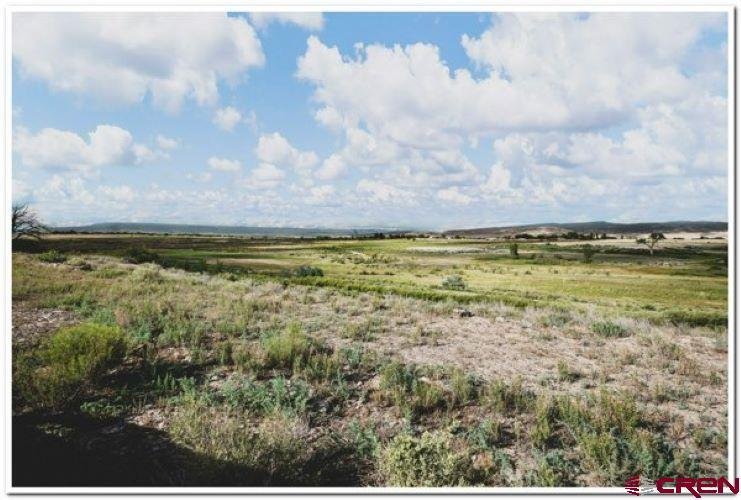 Farm Ranch in Montrose, Colorado, United States 5 - 14645406