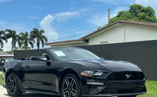 2023 Ford Mustang EcoBoost Premium Convertible 2D in West park, FL, United States 1