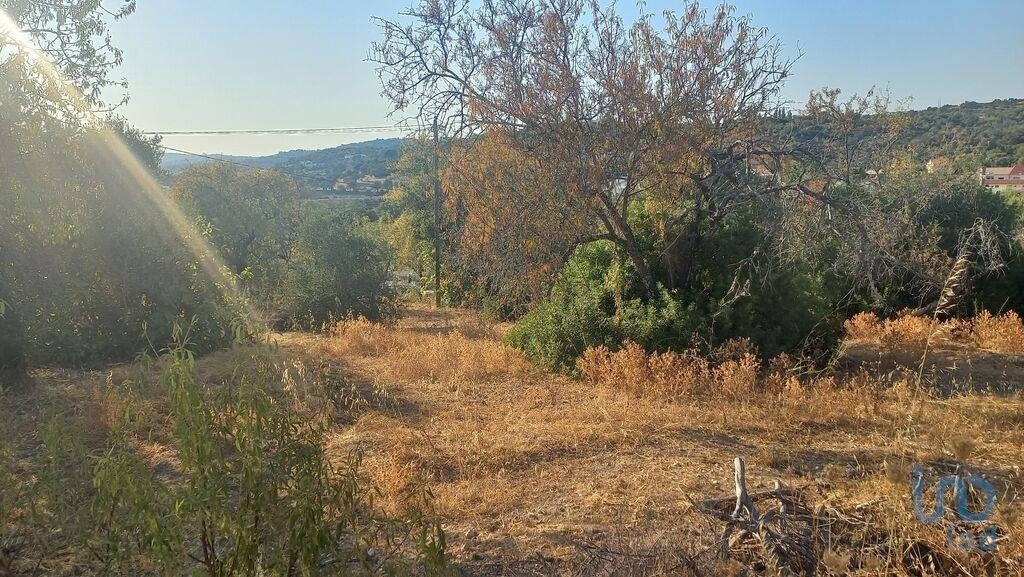 Land in Loule (Sao Clemente), Algarve, Portugal 4 - 14665347