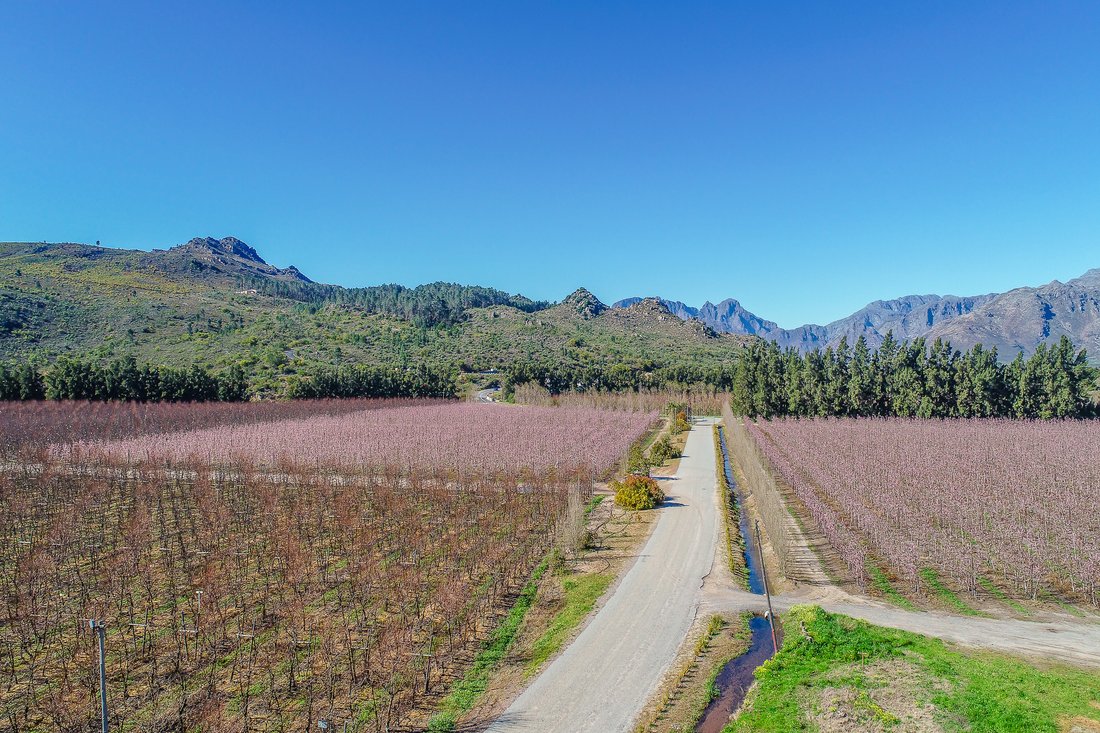 Farm Ranch in Franschhoek, Western Cape, South Africa 4 - 14663600