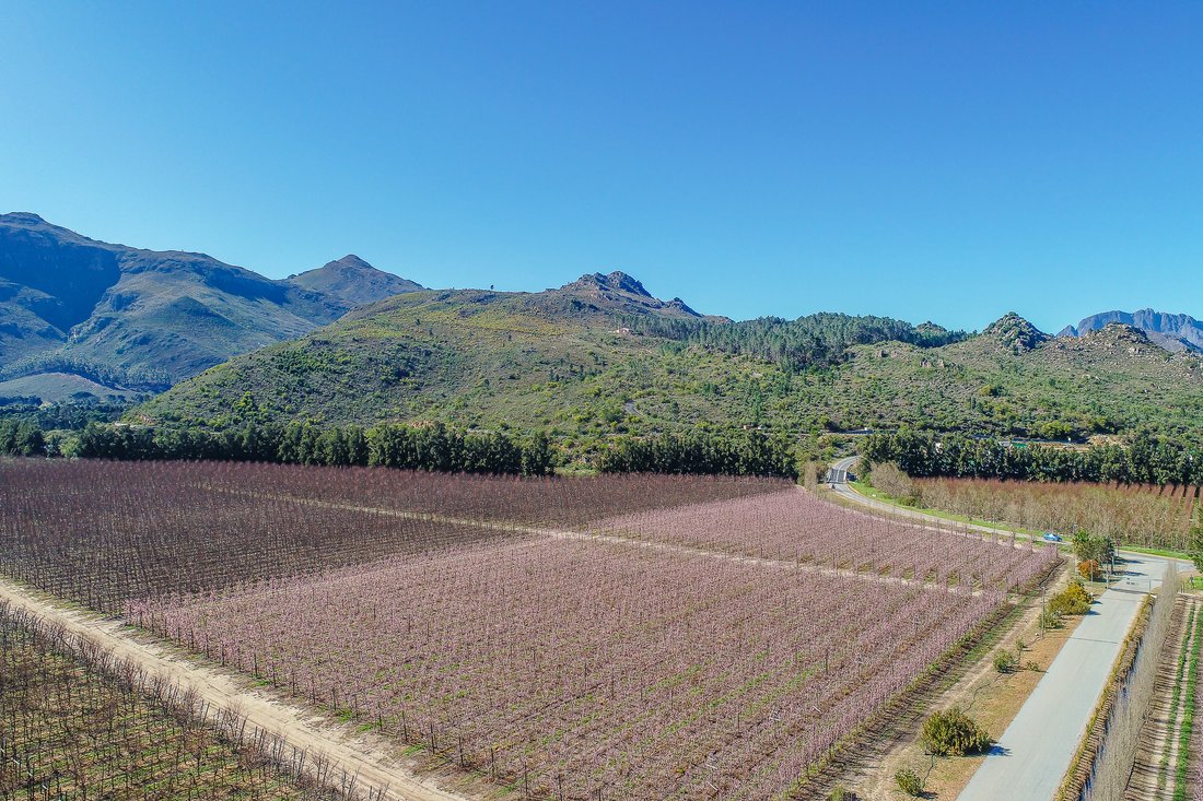 Farm Ranch in Franschhoek, Western Cape, South Africa 5 - 14663600