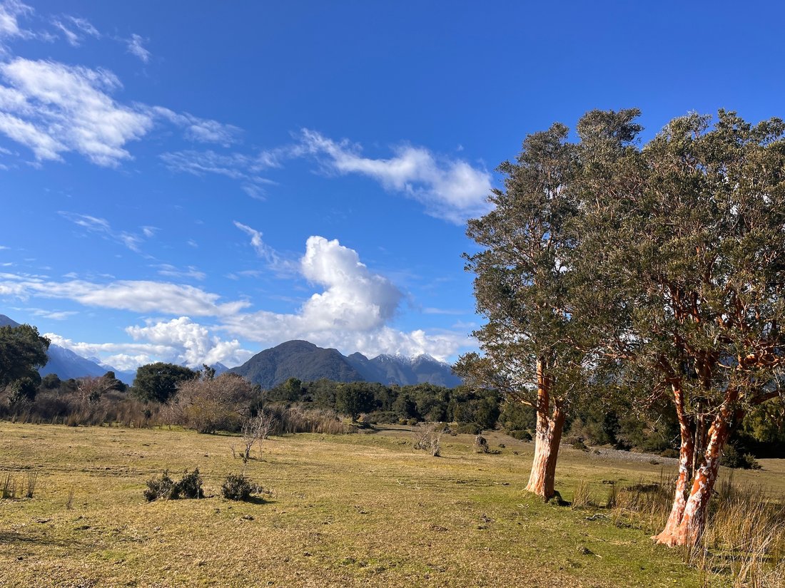 Land in Chaitén, Los Lagos, Chile 2 - 14670048