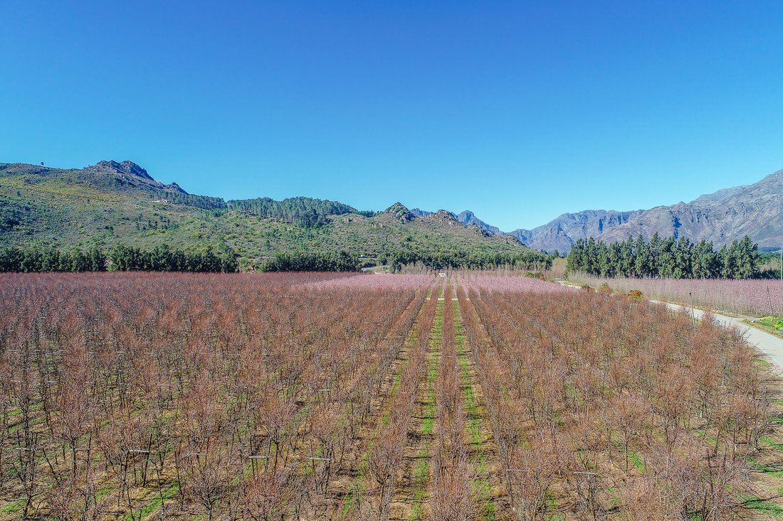 Farm Ranch in Franschhoek, Western Cape, South Africa 3 - 14663600