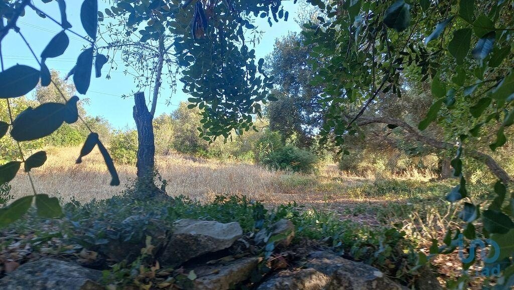 Land in Loule (Sao Clemente), Algarve, Portugal 3 - 14665347