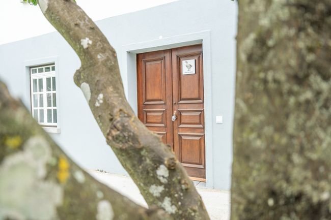 House in Amendoa, Santarem District, Portugal 4 - 14662289