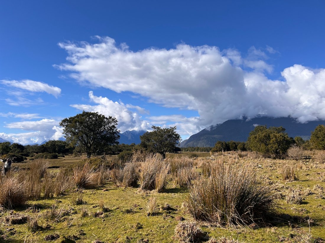 Land in Chaitén, Los Lagos, Chile 5 - 14670048