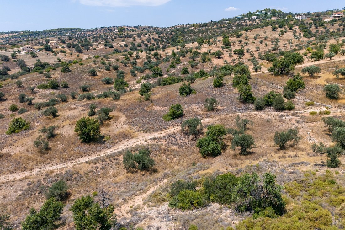 Land in Koinotita Kranidiou, Kranidi, Greece 3 - 14665596