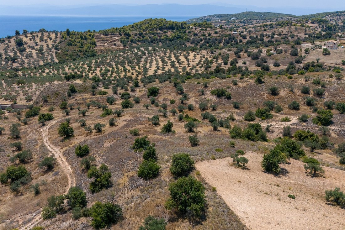 Land in Koinotita Kranidiou, Kranidi, Greece 4 - 14665596