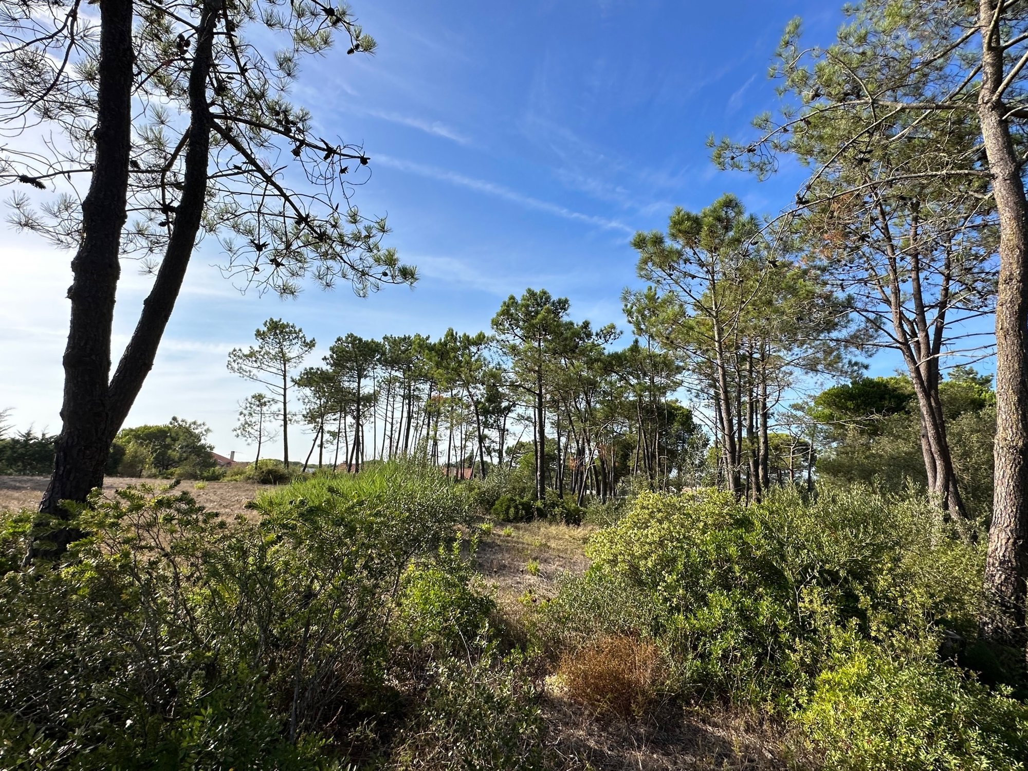 Land for sale in Sesimbra, Portugal — €800,000