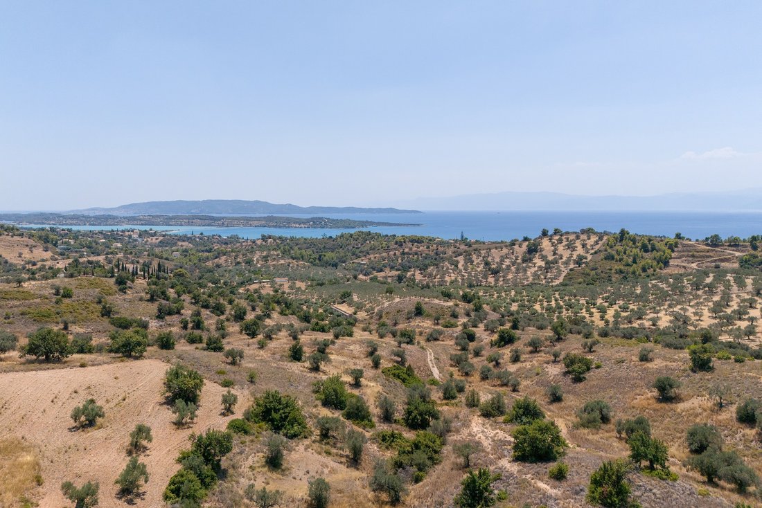 Land in Koinotita Kranidiou, Kranidi, Greece 5 - 14665596