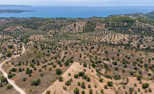 Land in Koinotita Kranidiou, Kranidi, Griechenland 1