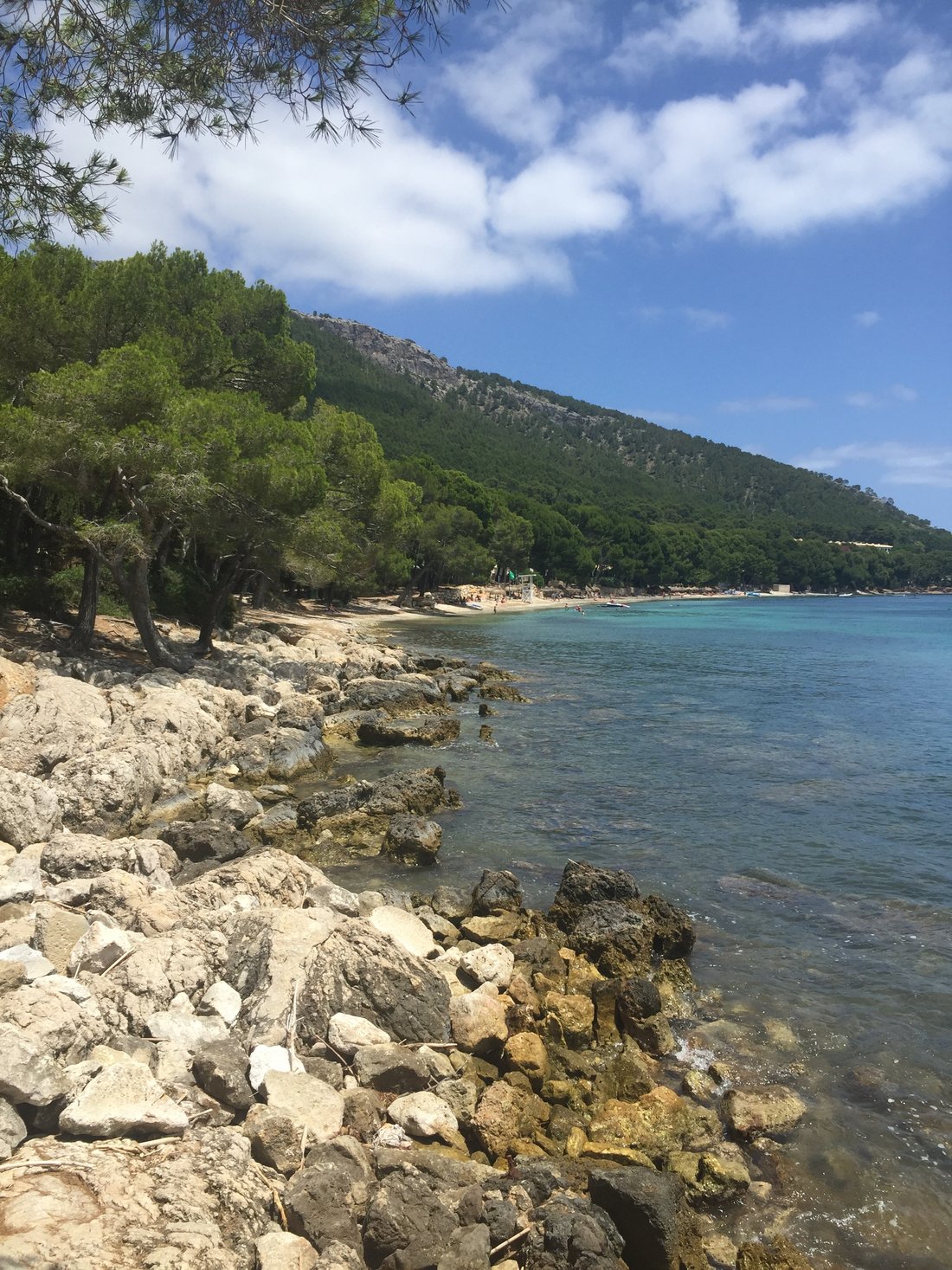 Villa in Pollenca, Balearic Islands, Spain 4 - 14665443