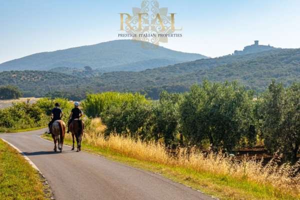 Estate in Center, Greve in Chianti, Tuscany 5 - 14668310