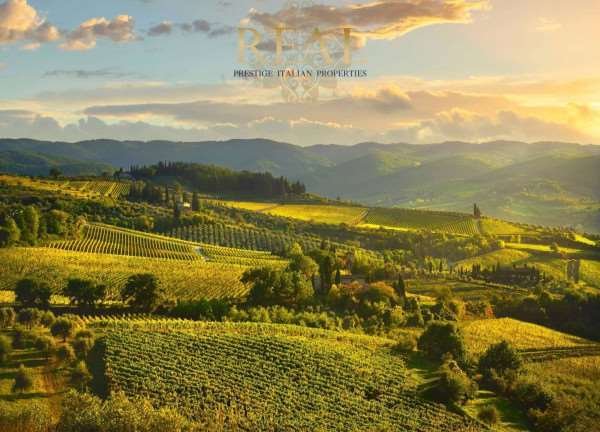 Estate in Center, Greve in Chianti, Tuscany 2 - 14668310