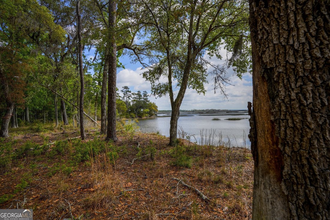 Farm Ranch in Woodbine, Georgia, United States 2 - 14667701