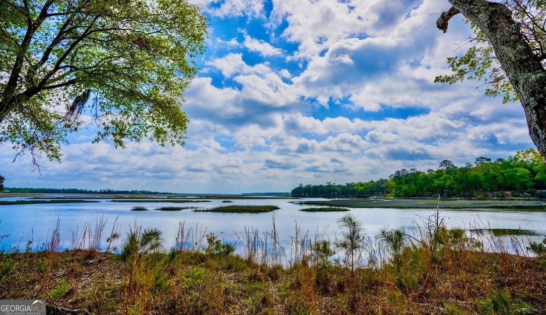 Farm Ranch in Woodbine, Georgia, United States 1 - 14667701