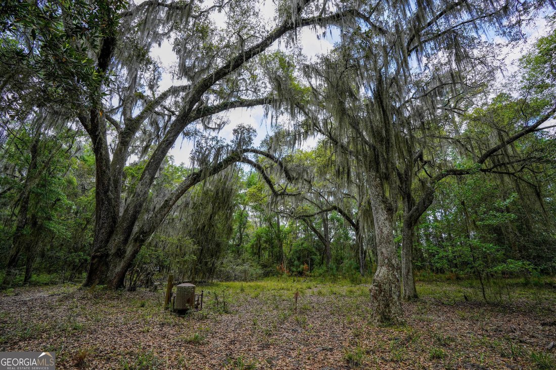 Farm Ranch in Woodbine, Georgia, United States 3 - 14667701