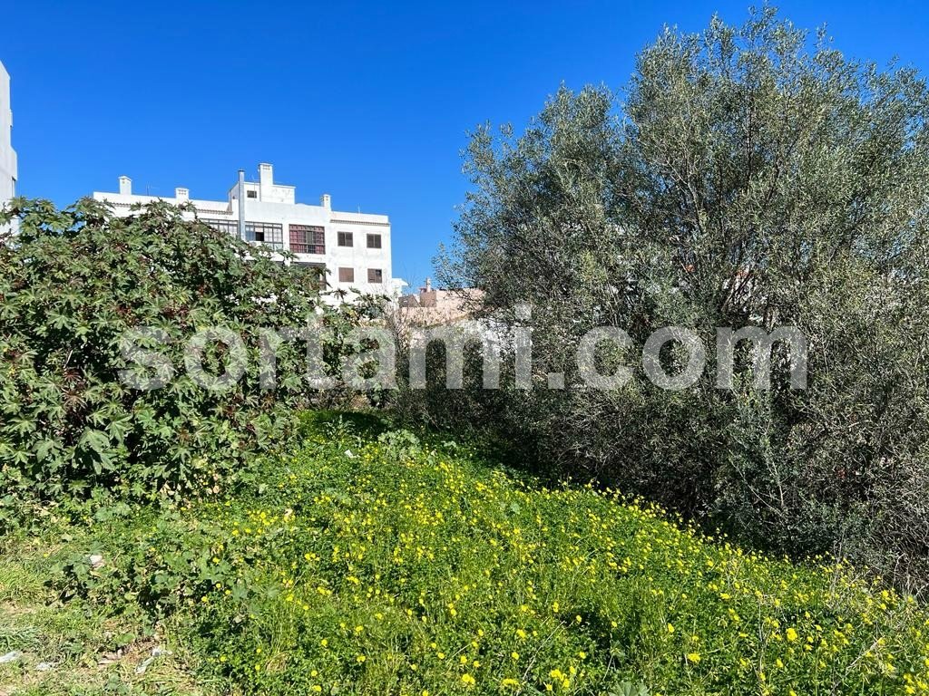Land in Almancil, Algarve, Portugal 3 - 14668879