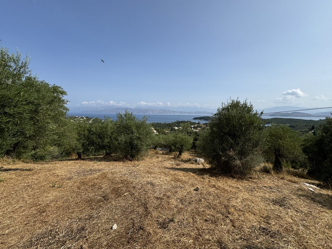 Land in Kassopaia, Peloponnese, Western Greece and the Ionian, Greece 1 - 14669536