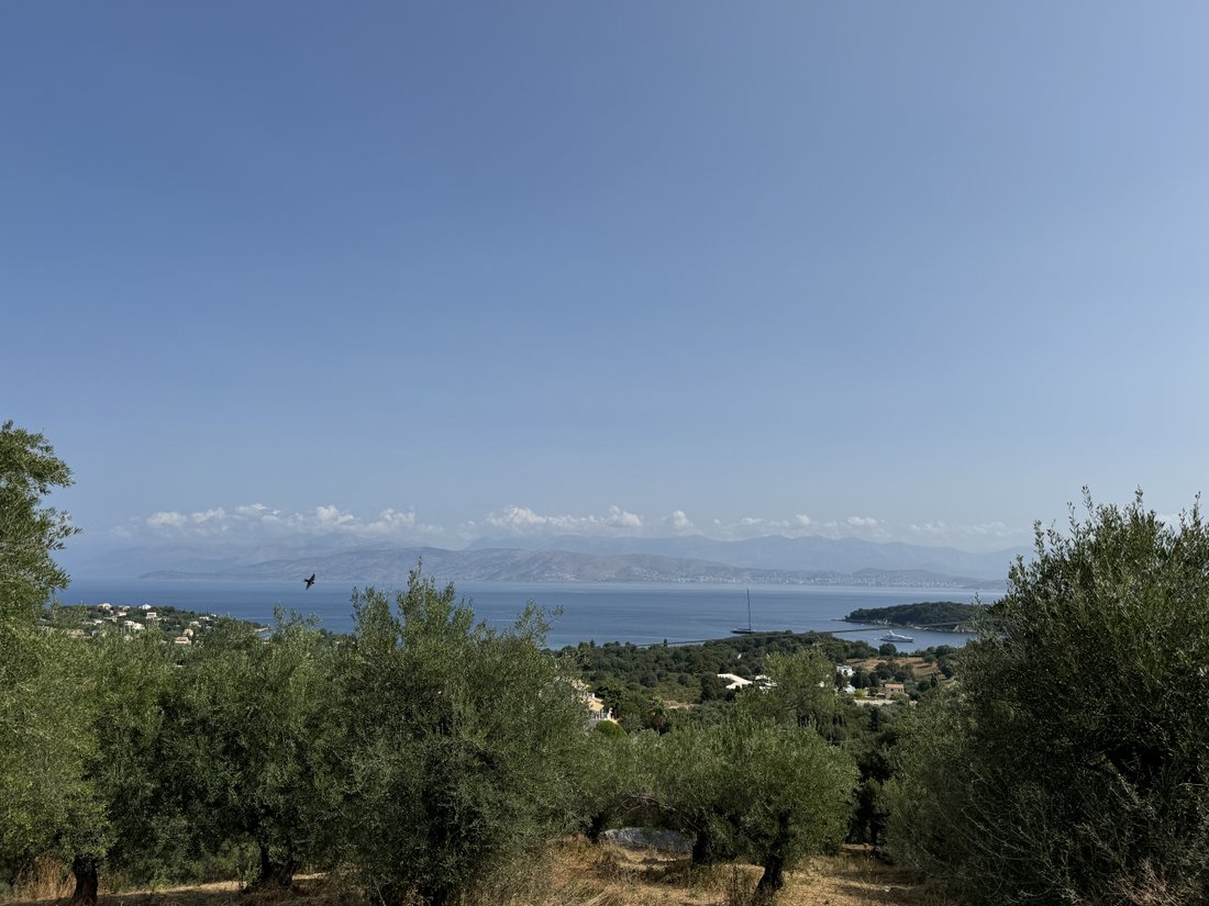 Land in Kassopaia, Peloponnese, Western Greece and the Ionian, Greece 2 - 14669536