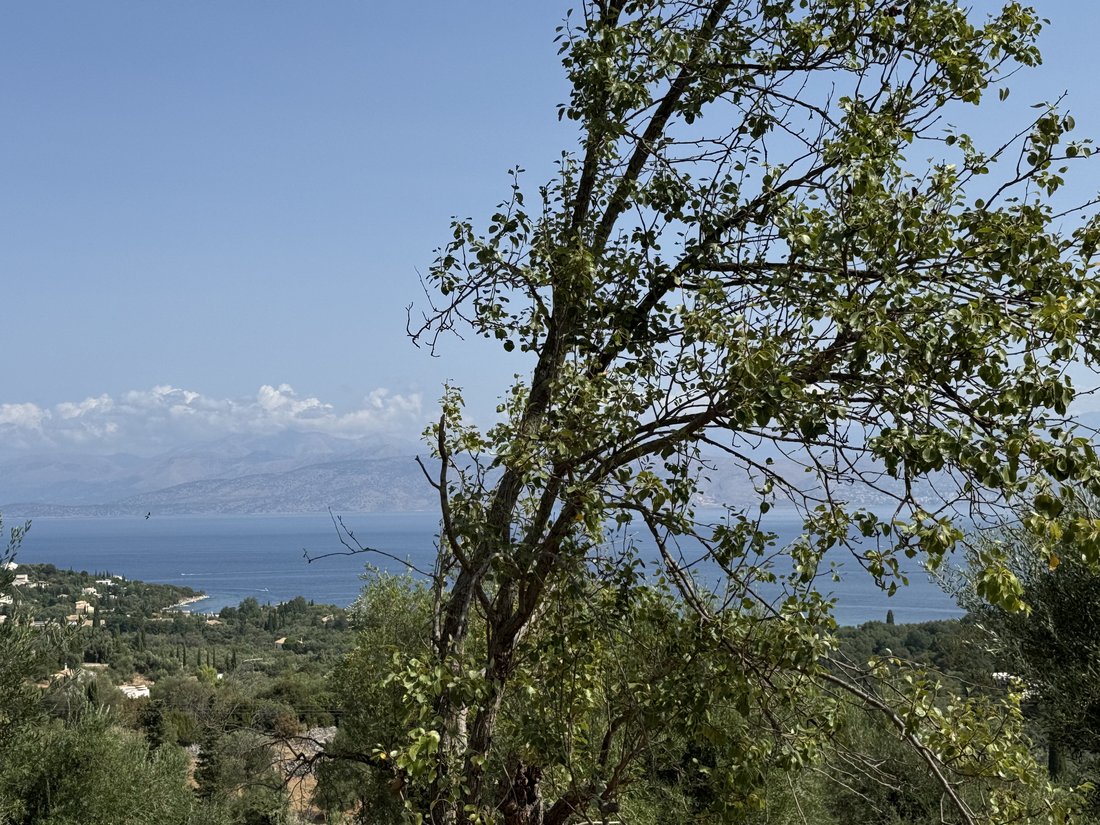 Land in Kassopaia, Peloponnese, Western Greece and the Ionian, Greece 3 - 14669536