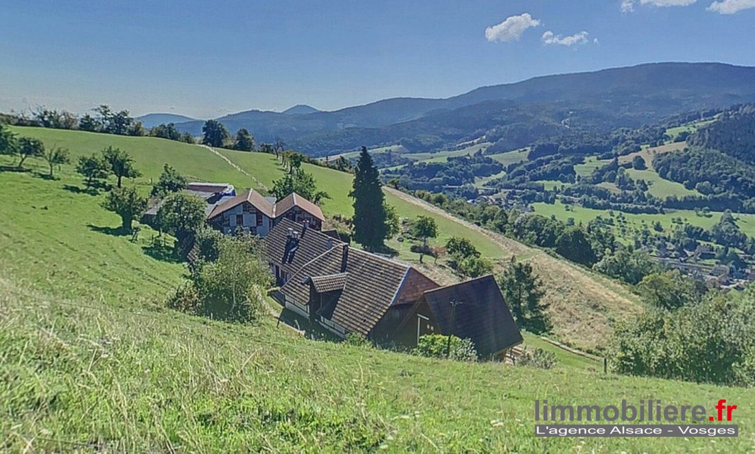 Haus in Gérardmer, Grand Est, Frankreich 1 - 14669021