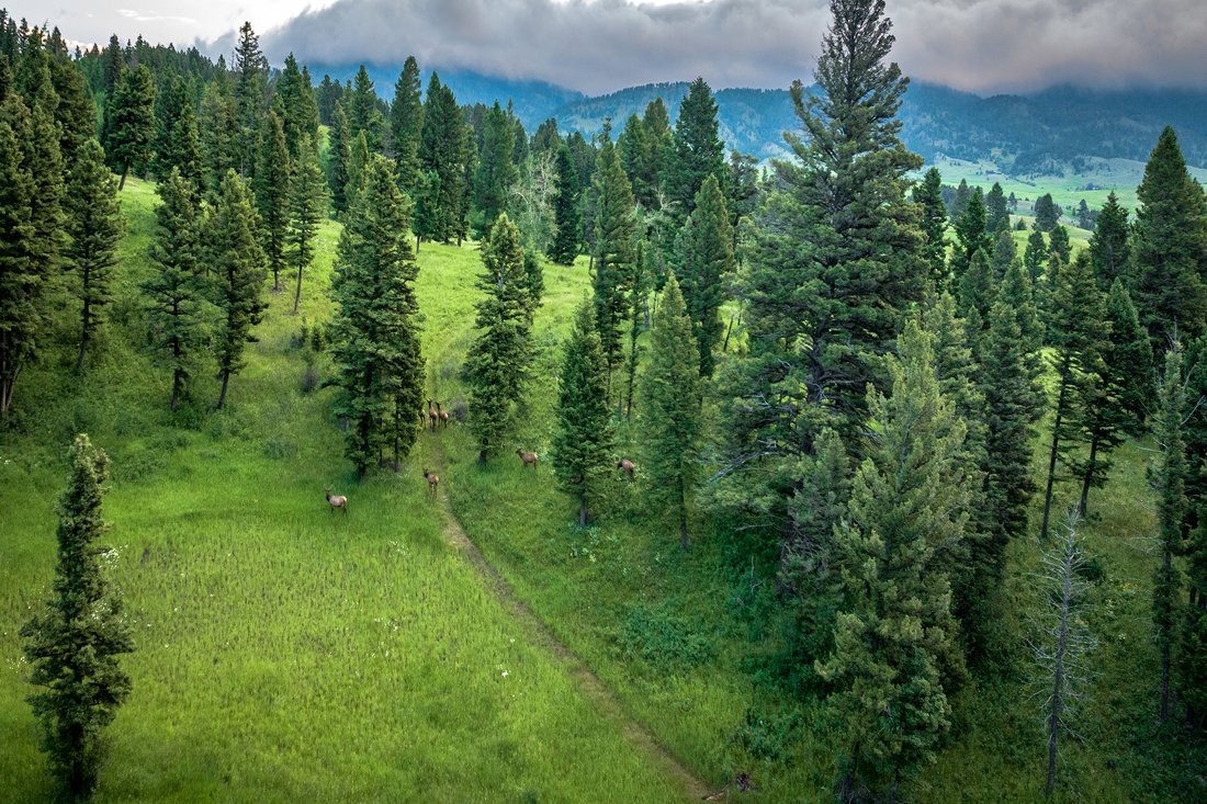 Land in Bozeman, Montana, United States 3 - 14669545