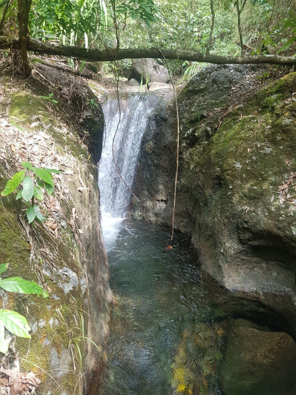 Land in Quezon, MIMAROPA, Philippines 3 - 14673688