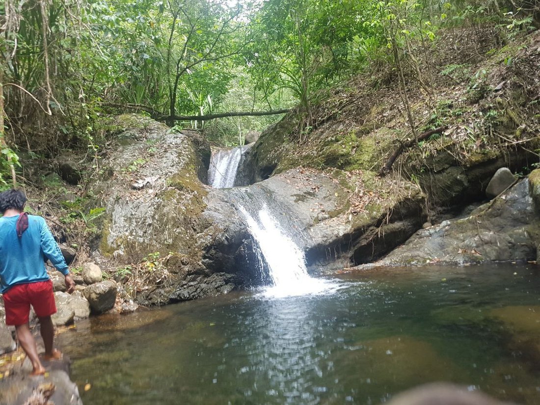Land in Quezon, MIMAROPA, Philippines 2 - 14673688