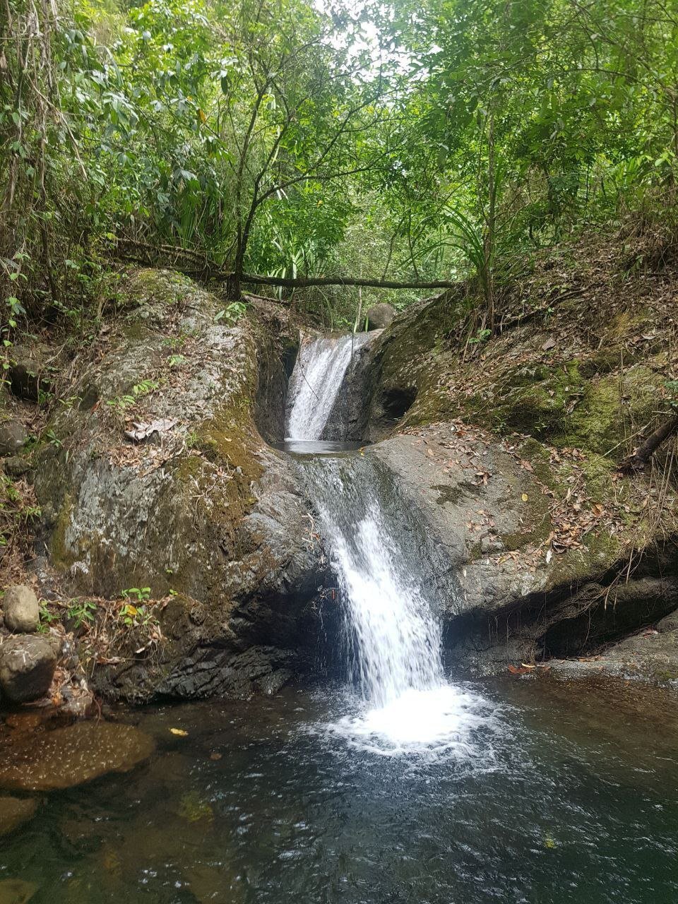 Land in Quezon, MIMAROPA, Philippines 1 - 14673688