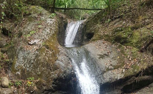 Terrain à Quezon, MIMAROPA, Philippines 1