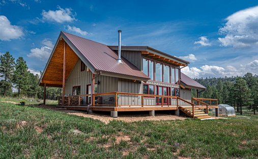 House in Buena Vista, New Mexico, United States 1