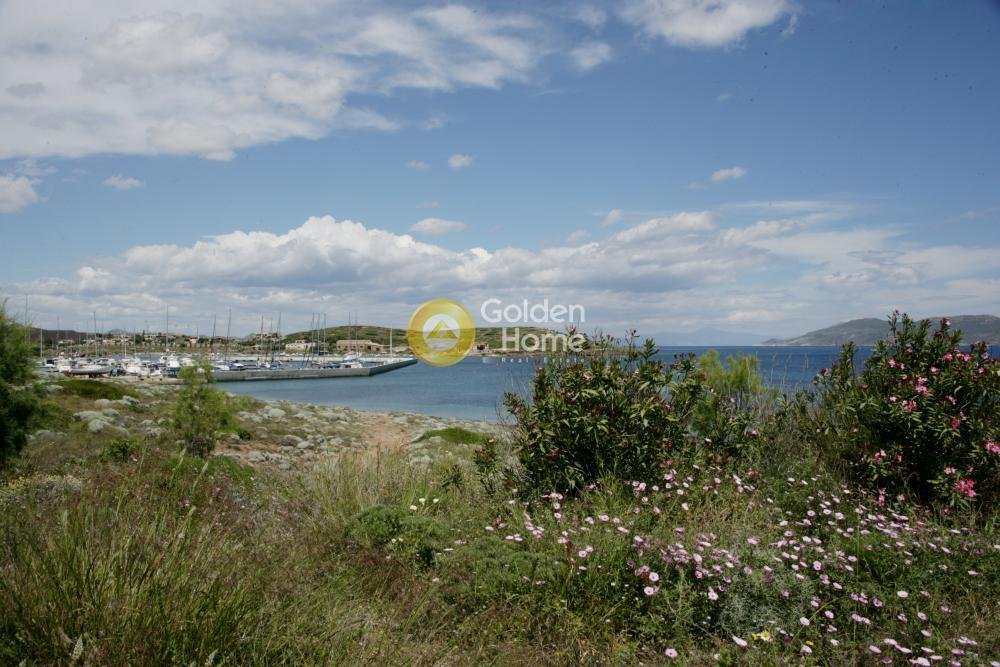 Estate in Lavreotiki, Attica, Greece 1 - 14364042