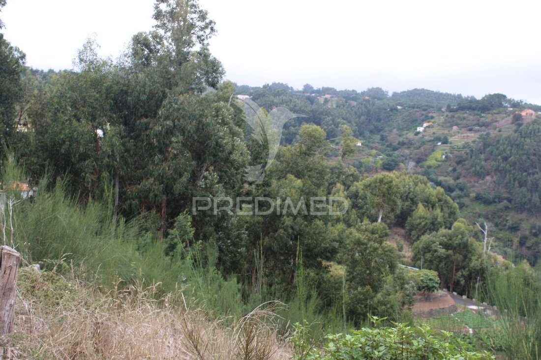 Land in Santa Cruz, Autonome Region Madeira, Portugal 4 - 14672461