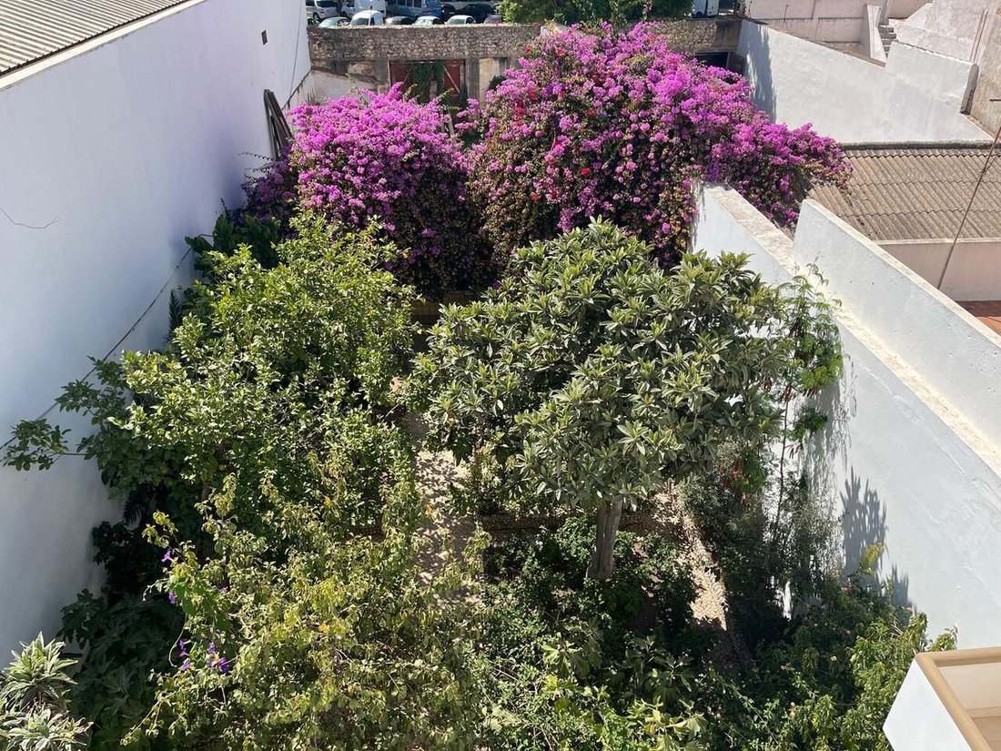 House in Portimao, Algarve, Portugal 4 - 14527841