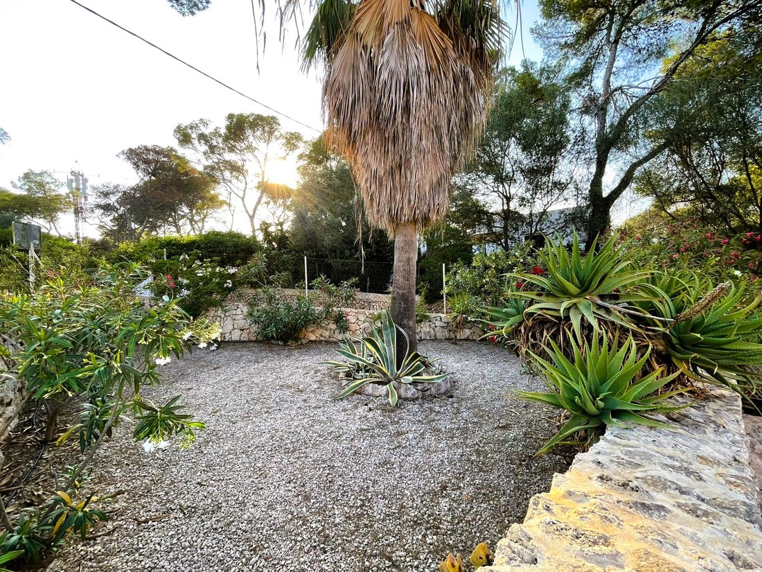 Townhouse in Cala Figuera, Santanyi, Balearic Islands 4 - 14671188