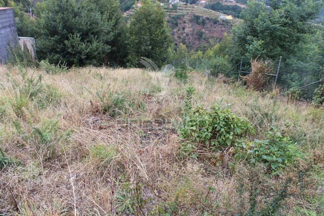 Land in Santa Cruz, Autonome Region Madeira, Portugal 2 - 14672461