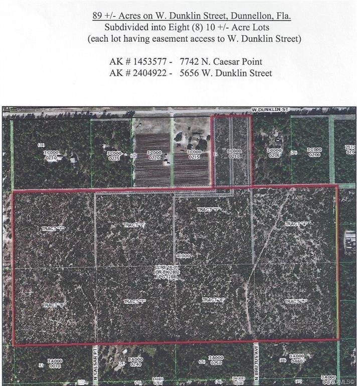 Land in Dunnellon, Florida, United States 2 - 14674585
