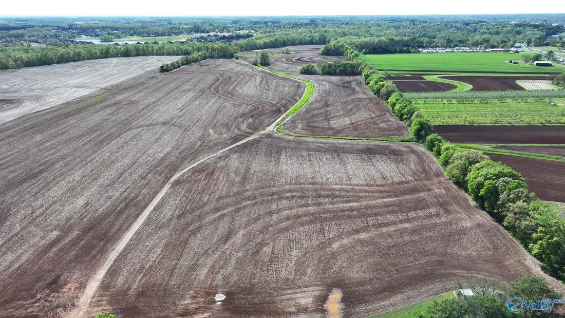 124 Acres Adjacent To Canebrake, Prime In Athens, Alabama, United States For Sale (14679603)