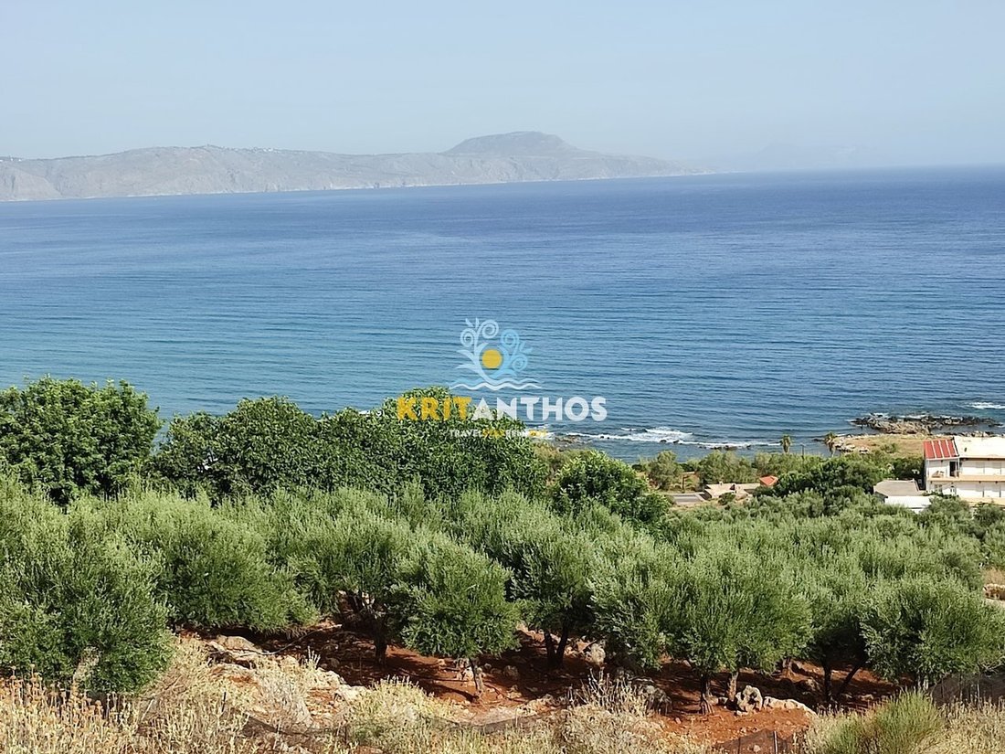 Land in Kreta, Griechenland 2 - 14678808