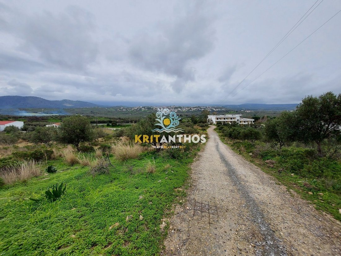 Land in Milopotamos, Griechenland 1 - 14678920