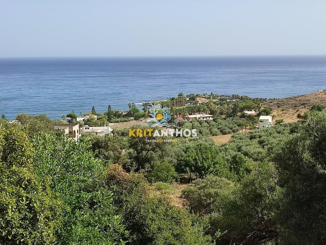Land in Kreta, Griechenland 1 - 14678808