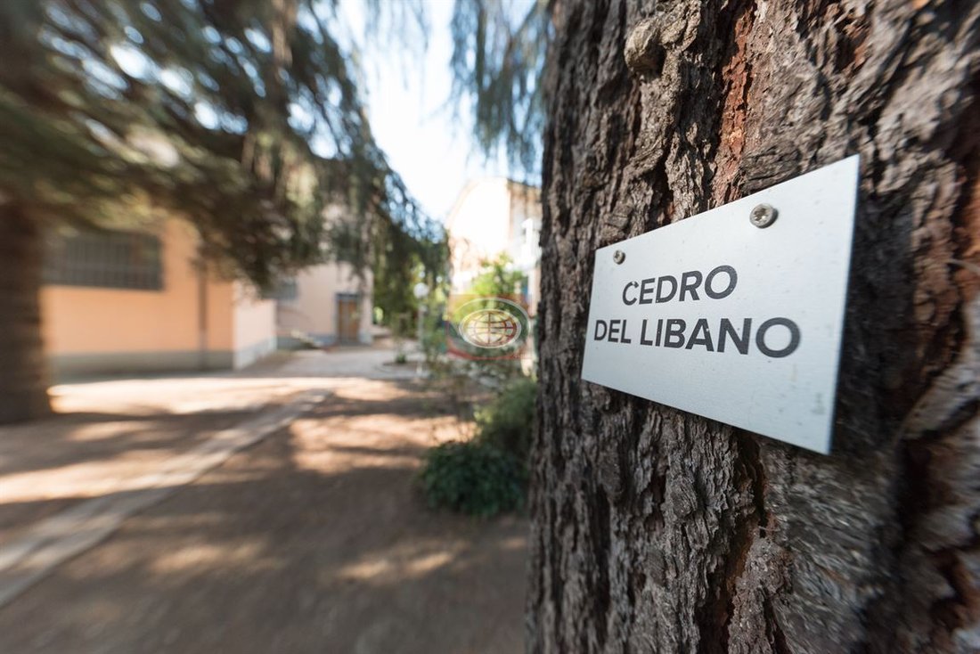 Villa a Centro, Cesena, Emilia-Romagna 5 - 13113134