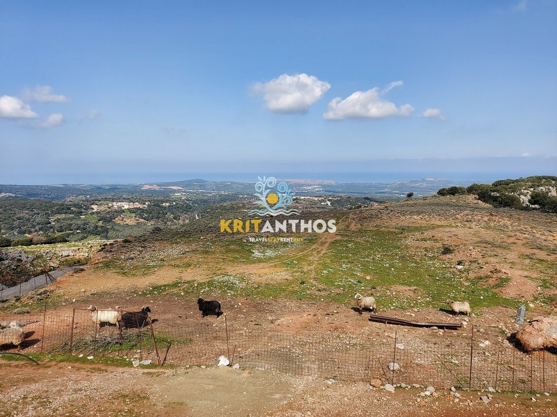 Land in Milopotamos, Greece 1 - 14678834