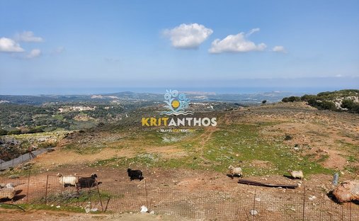 Land in Milopotamos, Griechenland 1