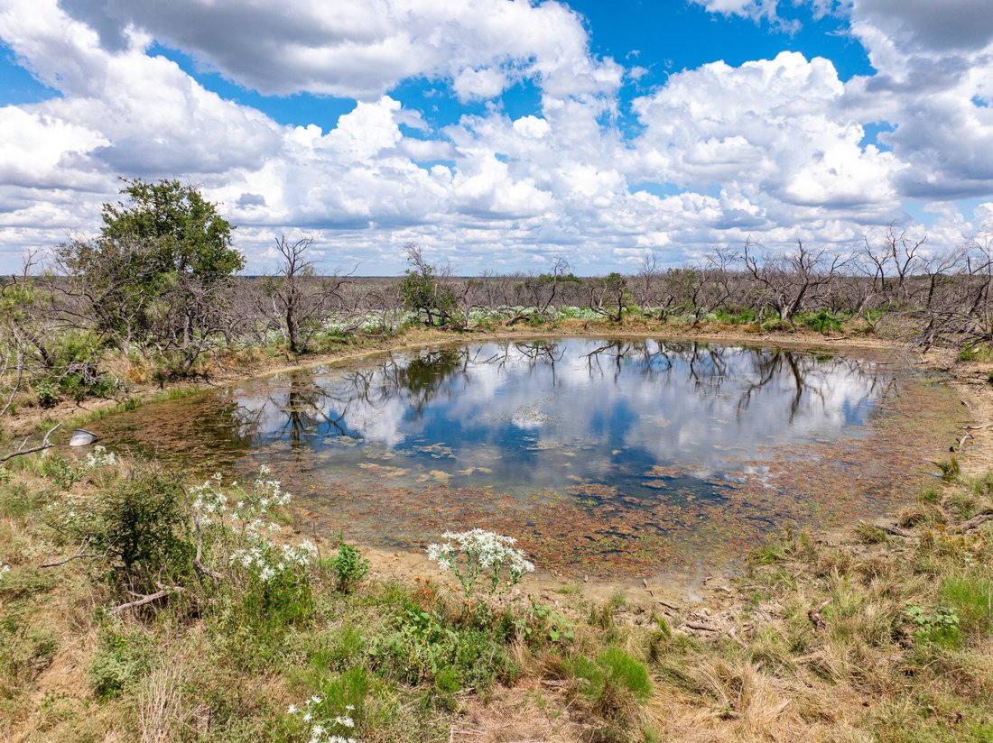 Wynn Ranch In Mexia, Texas, United States For Sale (14678193)