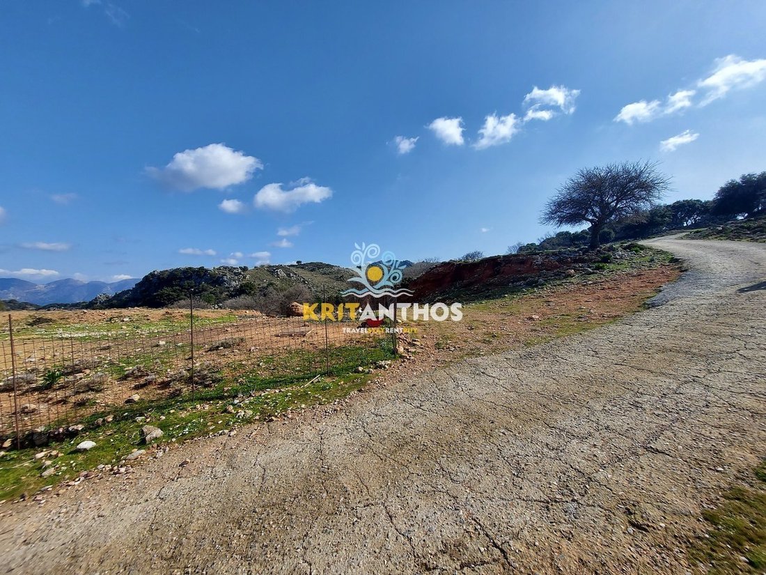 Land in Milopotamos, Greece 4 - 14678834