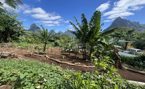 Moorea-Maiao, Windward Islands, French Polynesia 1