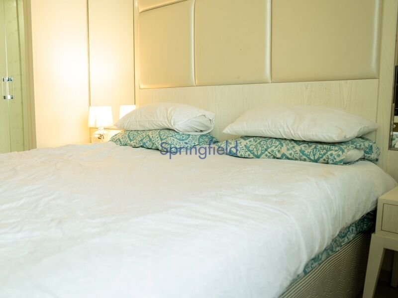 Apartment in Downtown Dubai, Dubai, United Arab Emirates 5 - 14678719